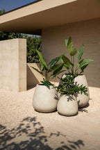 Cumino - Conico (set of 3) Jardinico