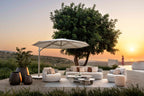 Taro - Coffee table organic Jardinico