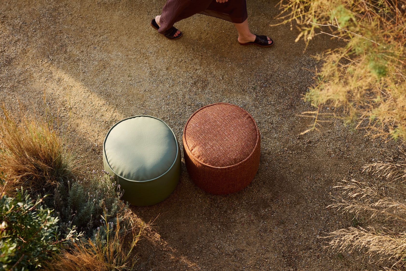 Bay - Medium Jardinico