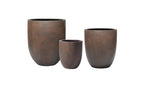 Cumino - Albero (set of 3) Jardinico
