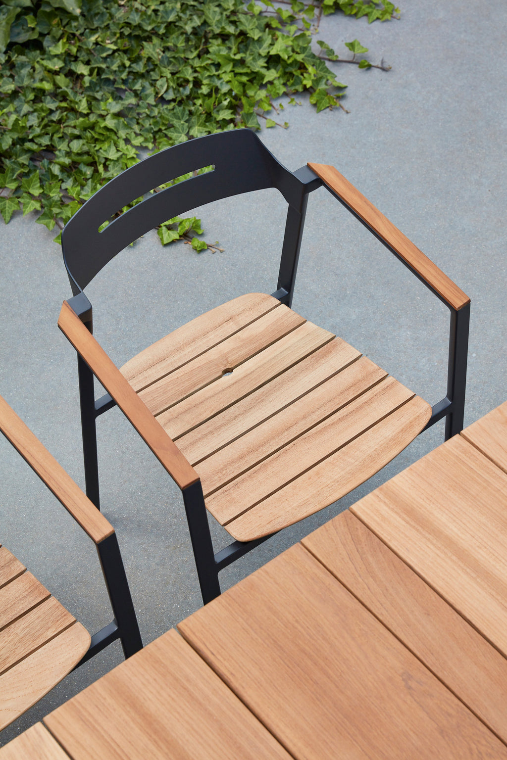 Icon - Dining armchair Diphano
