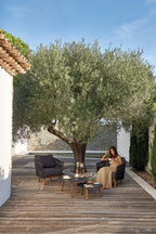 Newport - Lounge chair Diphano