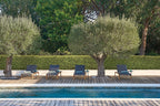 Newport - Lounger Diphano