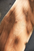 Pure - Bench Diphano