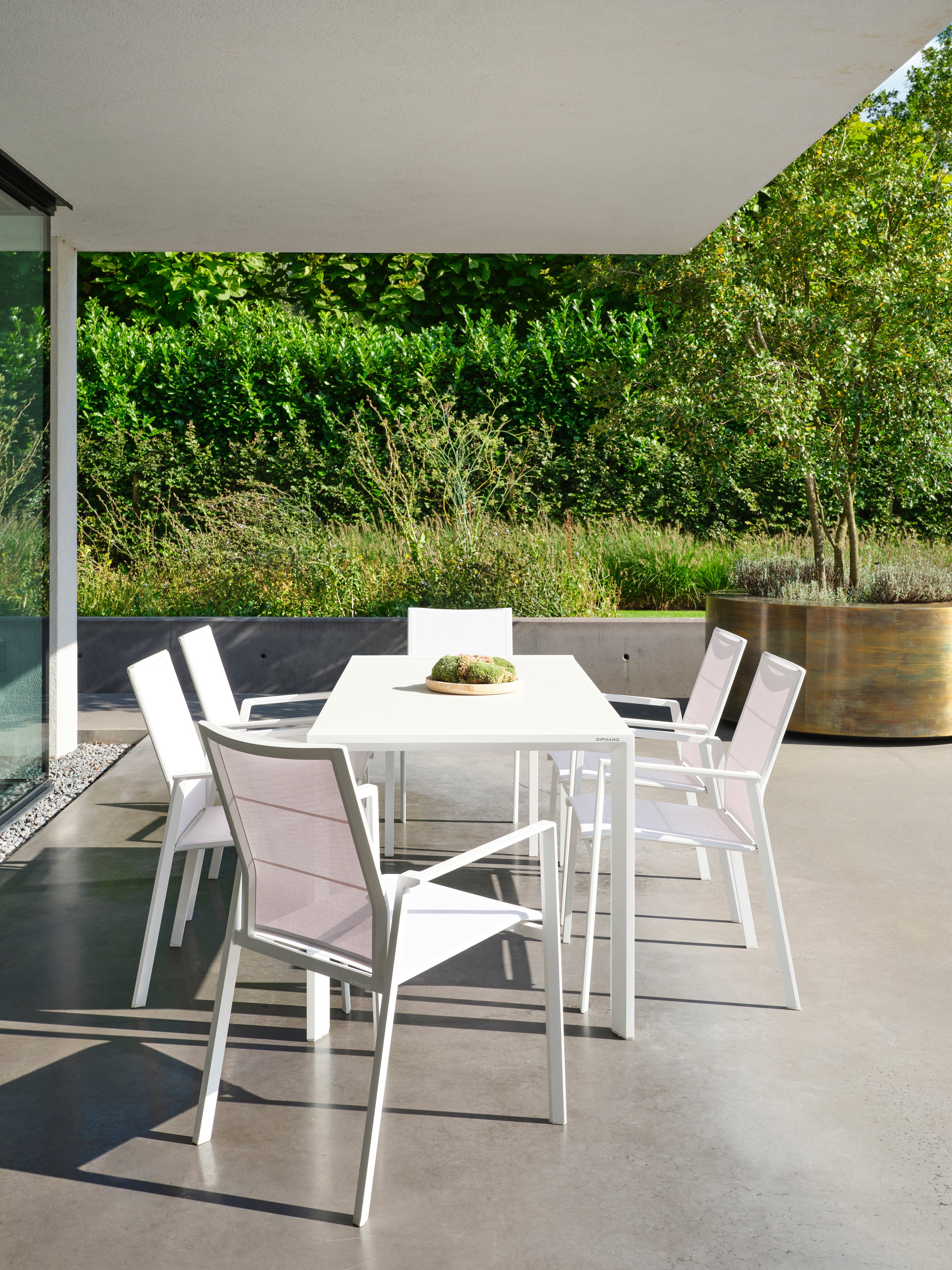 Selecta - Dining armchair Diphano