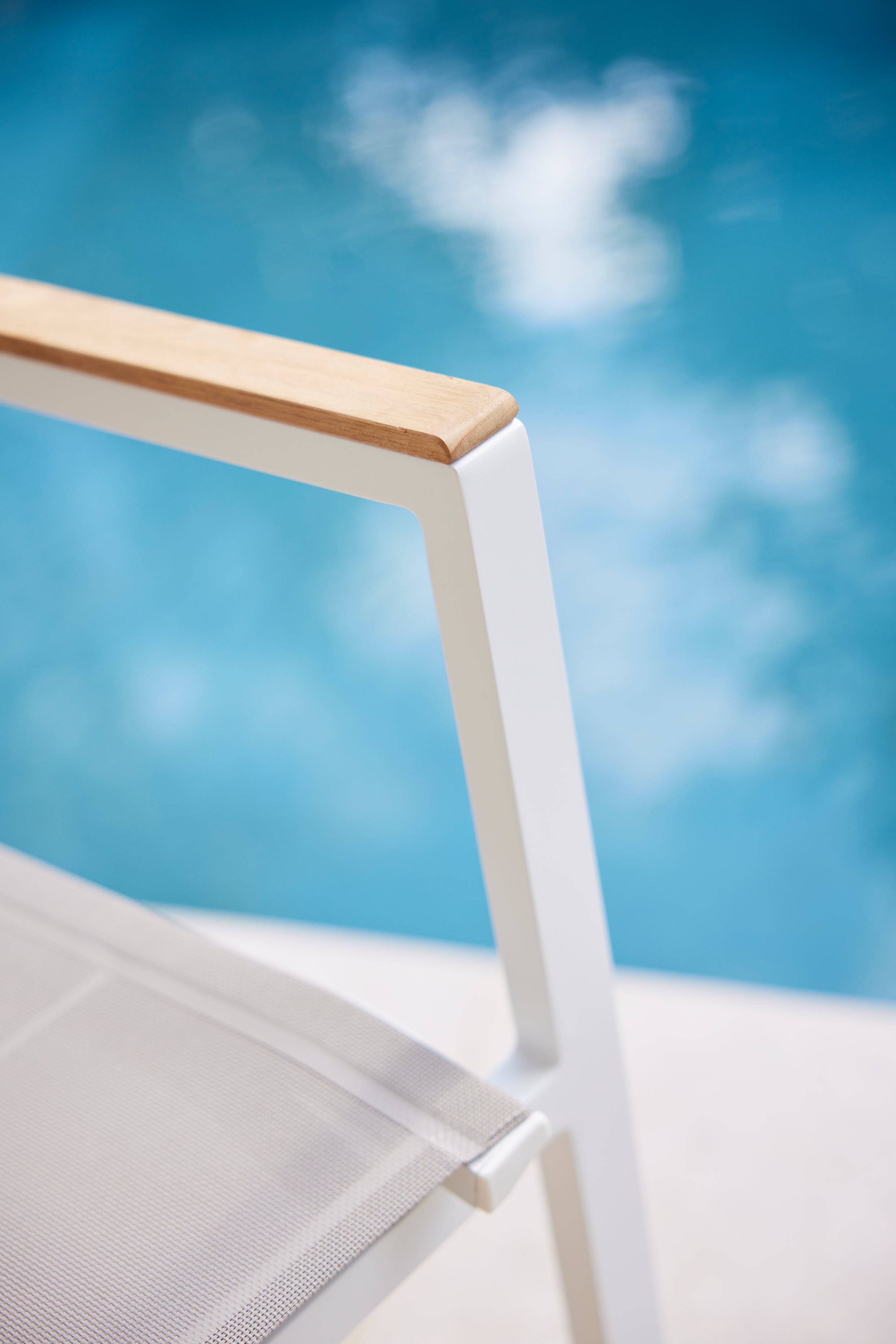 Selection - Dining armchair (teak arm) Diphano