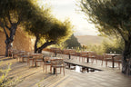 Spirit - Dining armchair Diphano