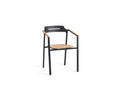 Icon - Dining armchair Diphano